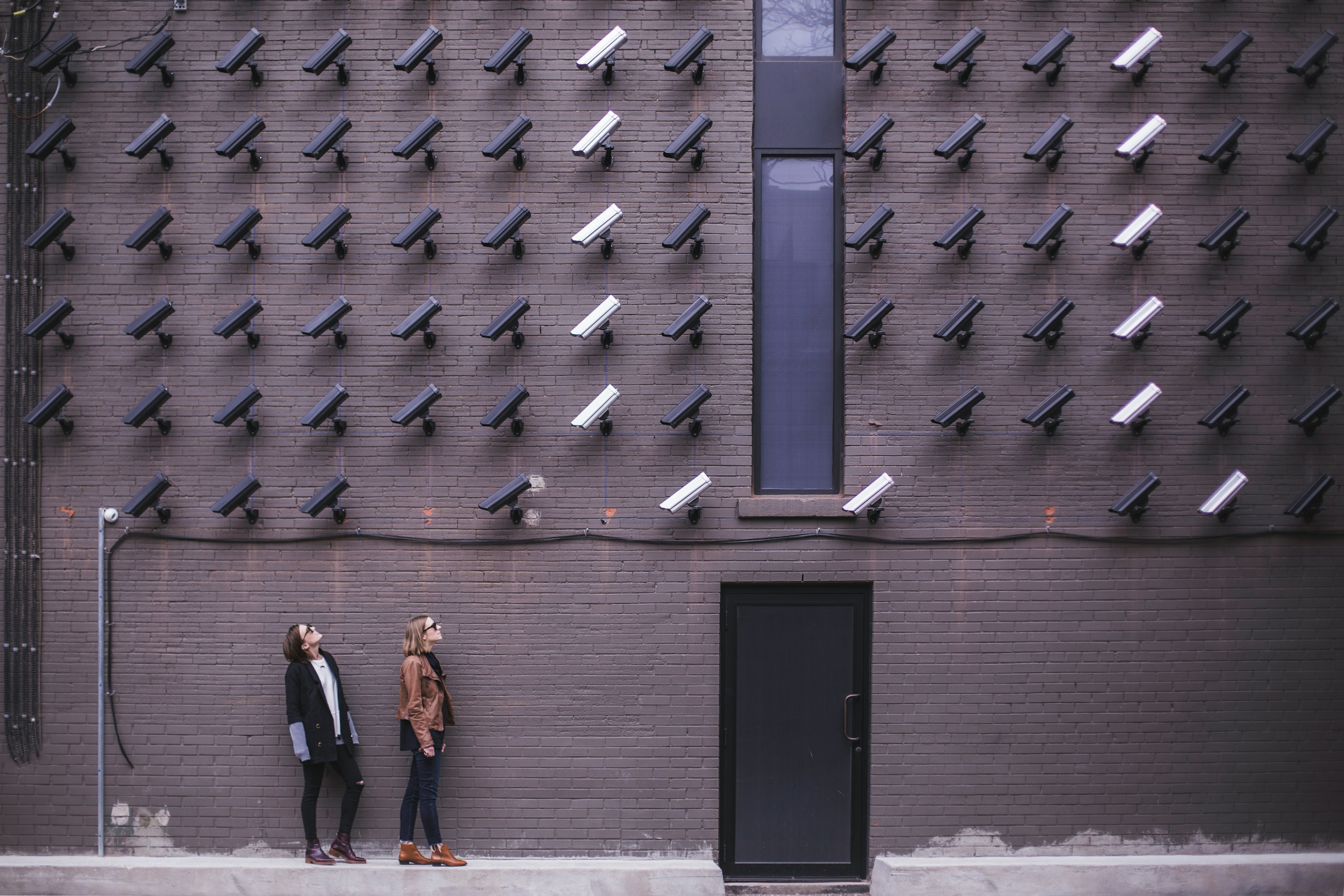 SEO : pourquoi la surveillance quotidienne est votre atout ROI ?